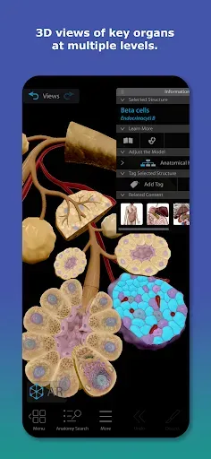 Скриншот 2 — Human Anatomy Atlas 2026