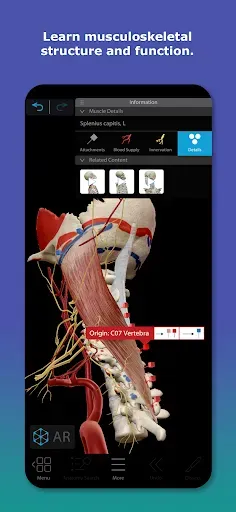 Скриншот 3 — Human Anatomy Atlas 2026