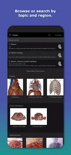 Скриншот 4 — Human Anatomy Atlas 2026