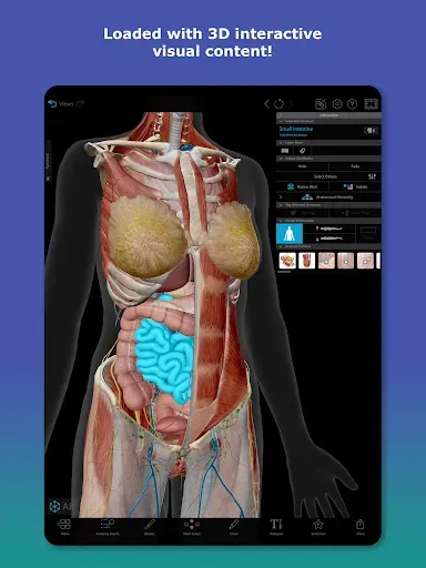 Скриншот 6 — Human Anatomy Atlas 2026