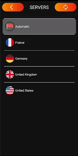 Скриншот 2 — Viva VPN