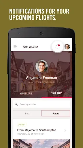 Скриншот 4 — Volotea