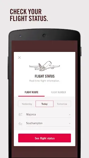 Скриншот 8 — Volotea