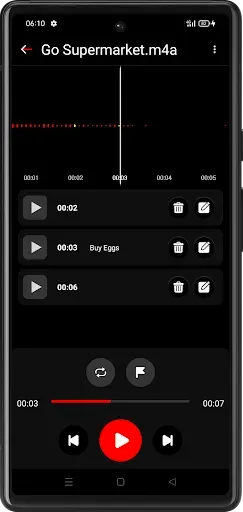 Скриншот 5 — Voice Record Tools