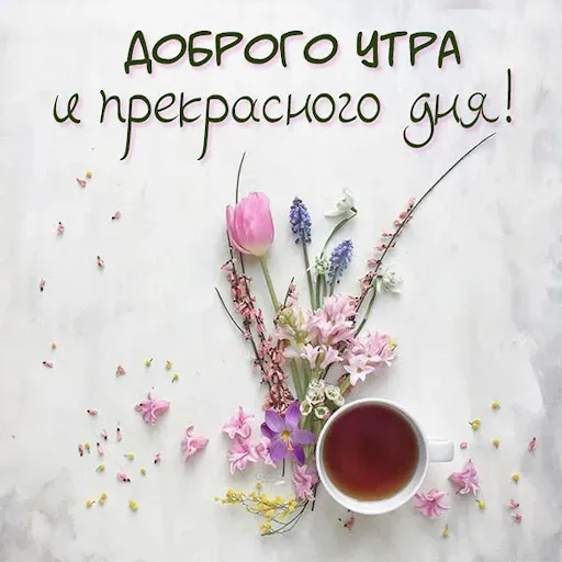 Скриншот 1 — Доброго утра и хорошего дня