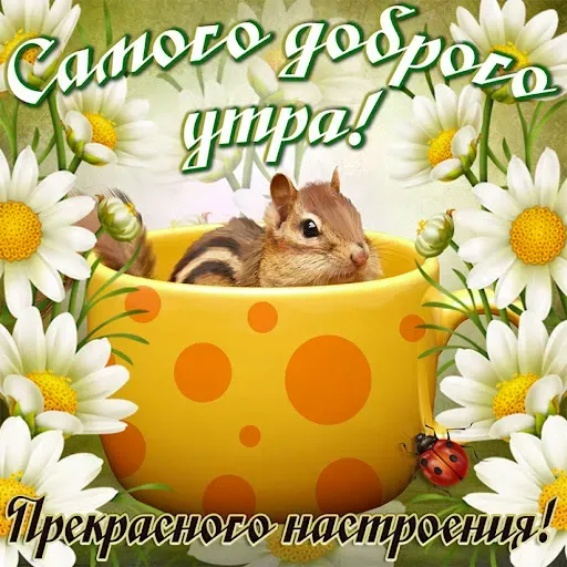 Скриншот 4 — Доброго утра и хорошего дня