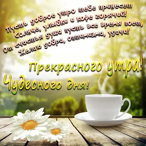 Скриншот 6 — Доброго утра и хорошего дня