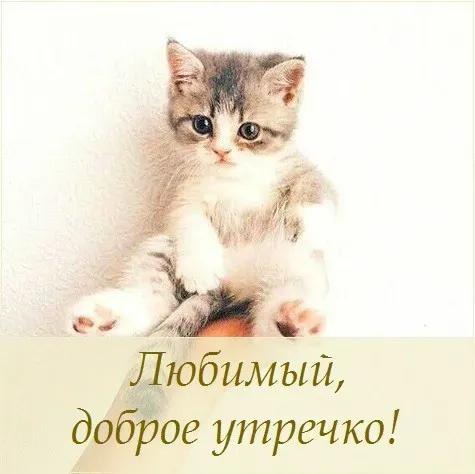 Скриншот 3 — Открытки Доброе утречко