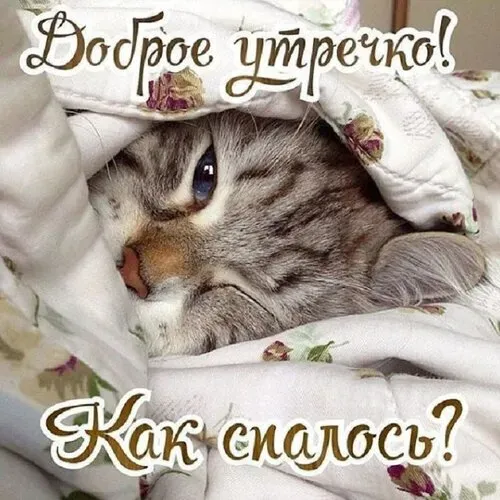 Скриншот 8 — Открытки Доброе утречко