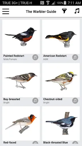 Скриншот 2 — Warbler Guide App