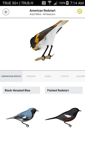 Скриншот 6 — Warbler Guide App