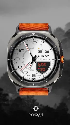 Скриншот 1 — D355 Premium Watch Face