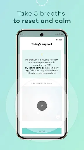Скриншот 6 — Moody Month: Hormone Tracker