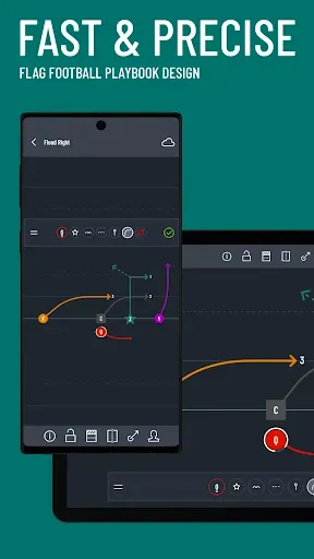 Скриншот 2 — Flag Football Playmaker X