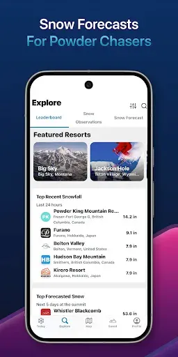 Скриншот 1 — SnowCast