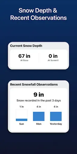 Скриншот 6 — SnowCast