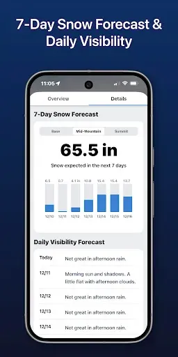 Скриншот 7 — SnowCast