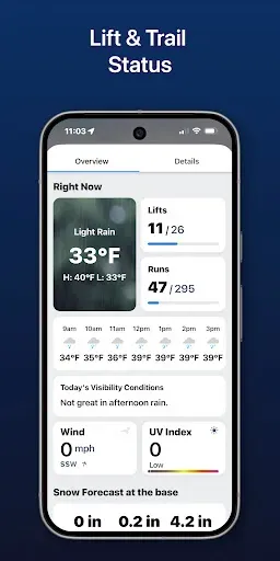 Скриншот 8 — SnowCast