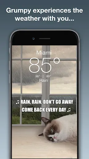 Скриншот 2 — Grumpy Cat Weather