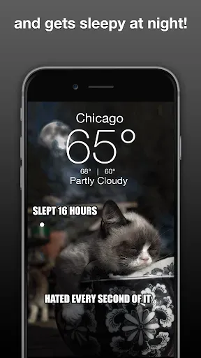 Скриншот 3 — Grumpy Cat Weather