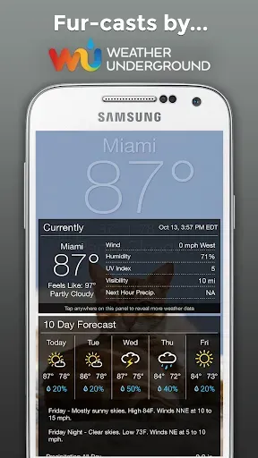 Скриншот 4 — Weather BUB