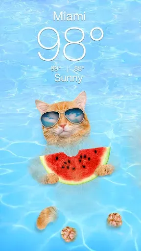 Скриншот 2 — Weather Kitty - App & Widget