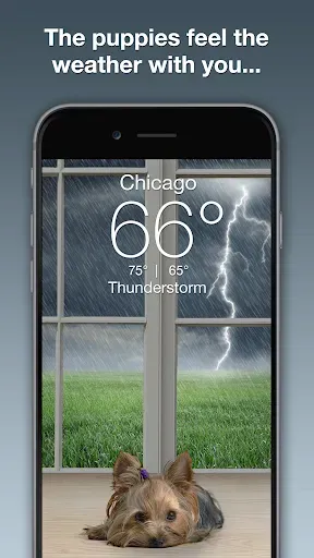 Скриншот 2 — Weather Puppy - App & Widget