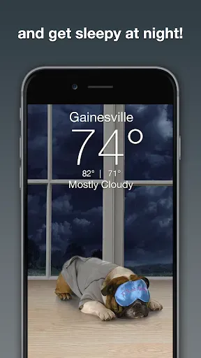 Скриншот 3 — Weather Puppy - App & Widget