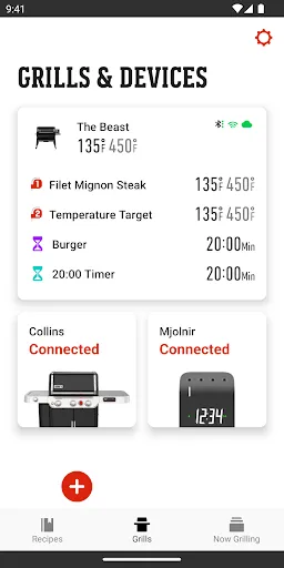 Скриншот 2 — Weber® Connect