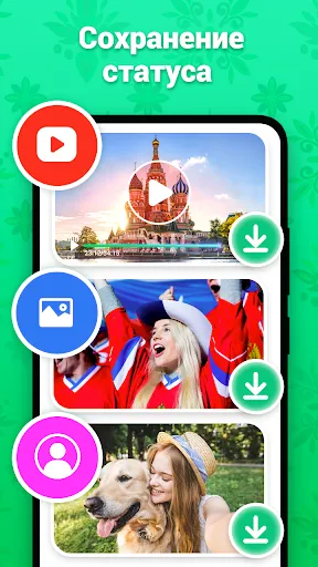 Скриншот 2 — Веб-сканер