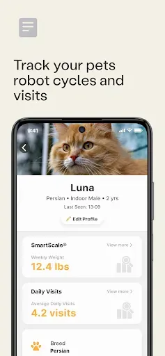 Скриншот 5 — Whisker