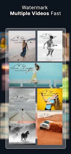Скриншот 5 — eZy Watermark Videos