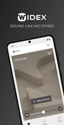 Скриншот 1 — WIDEX ALLURE