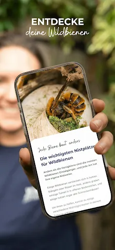 Скриншот 1 — MyBeeHome: Wildbienen Zuhause