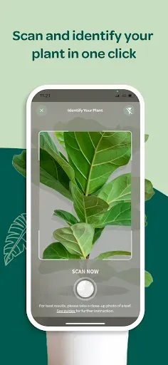 Скриншот 2 — Willow