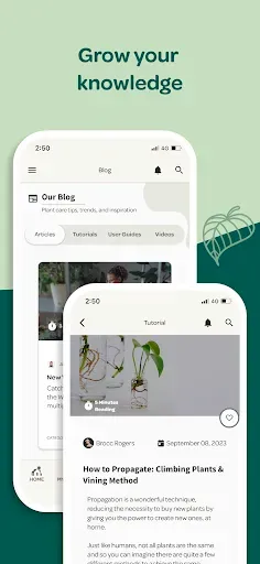 Скриншот 6 — Willow