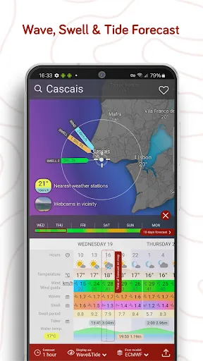 Скриншот 5 — Windy.com - Weather Forecast