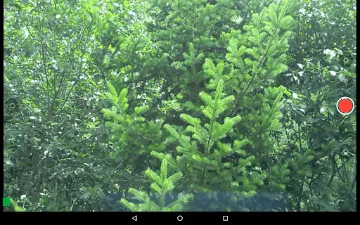 Скриншот 7 — Larix Broadcaster: Live Stream