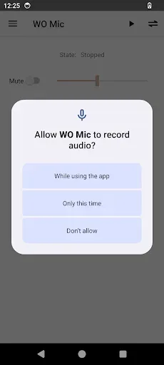 Скриншот 4 — WO Mic