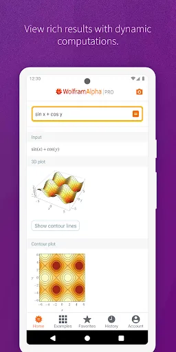 Скриншот 6 — WolframAlpha