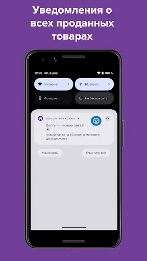 Скриншот 5 — Магазины WooCommerce
