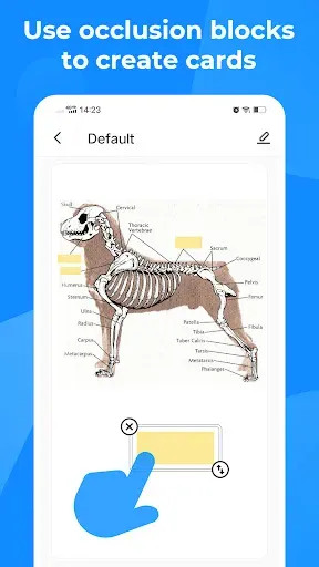 Скриншот 8 — Knowlet - Learn by flashcard