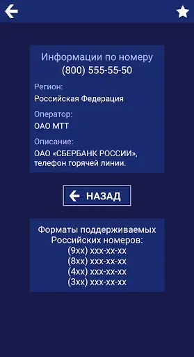 Скриншот 2 — База телефонных номеров РФ