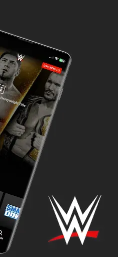 Скриншот 2 — WWE