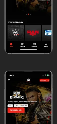 Скриншот 4 — WWE