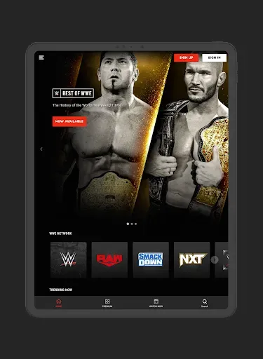 Скриншот 8 — WWE