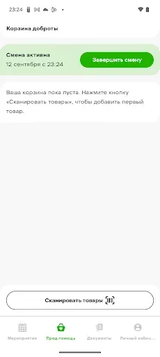 Скриншот 2 — Выручаем