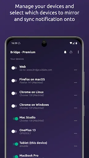 Скриншот 4 — Bridge - mirror notifications