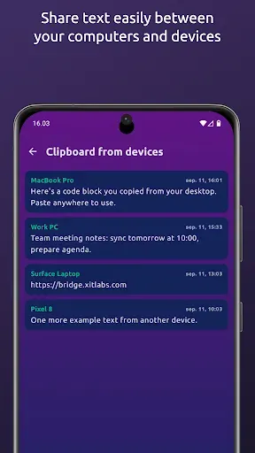 Скриншот 5 — Bridge - mirror notifications