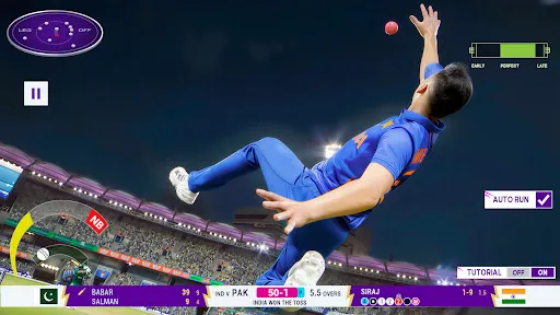 Скриншот 1 — Cricket Smash Championship